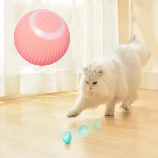 PetGravity Automatic Rolling Ball- Electric Interactive Cat Toys
